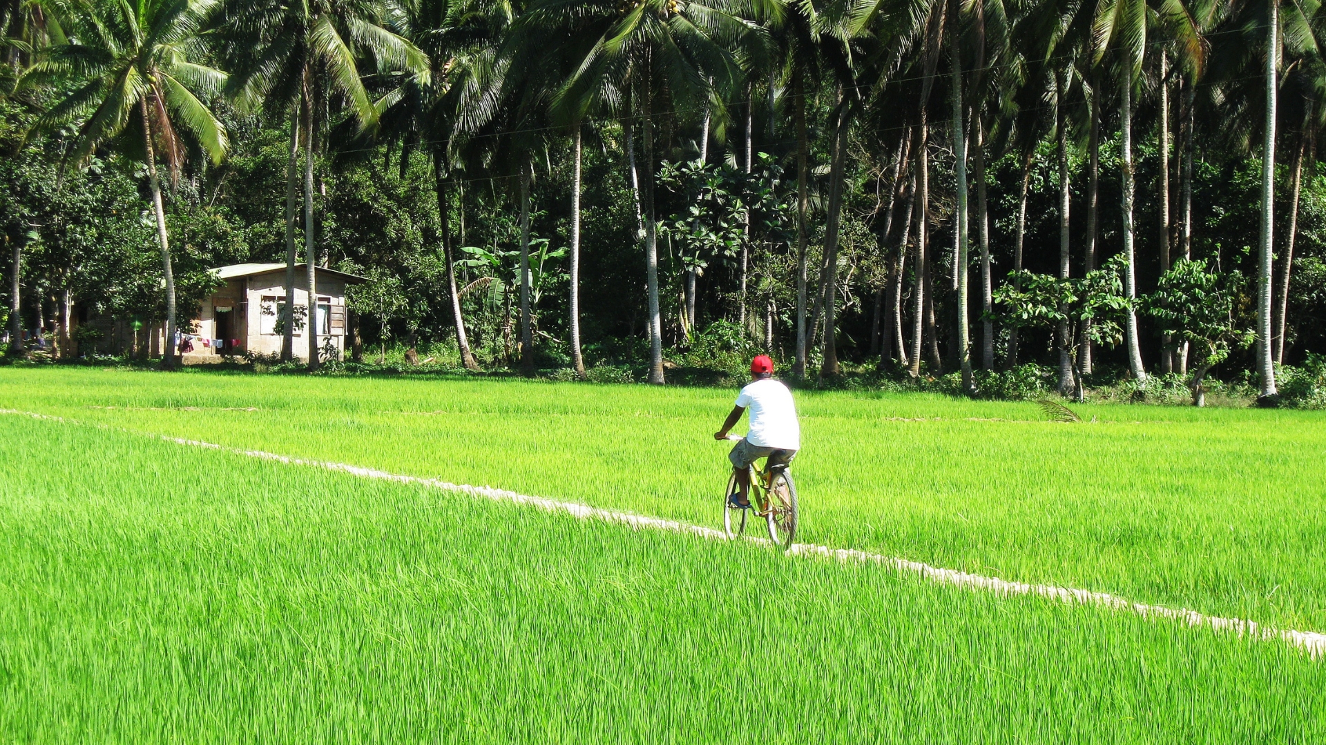 Sri Lanka Travel